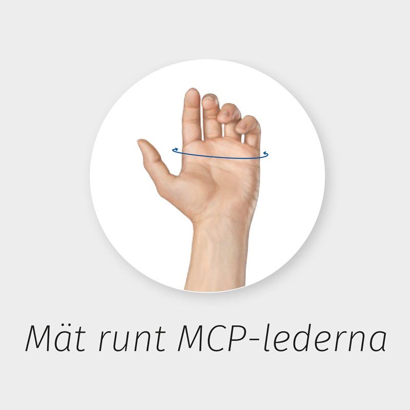 Ødemhanske light Catell